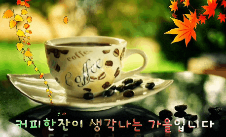 박근혜 오늘 국민의힘 연찬회 참석···민주 “다음엔 윤석열 부를 건가” vs 추석 선물Park Geu....