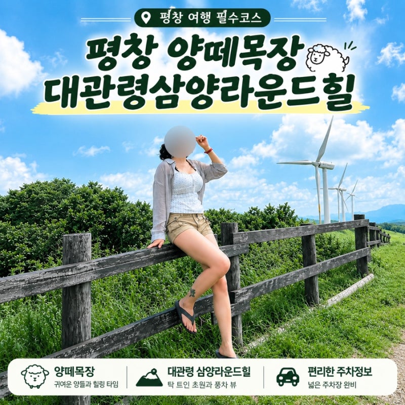 대관령 강원도 여행 필수코스｜양떼목장부터 삼양라운드힐까지 초록초록 힐링여행