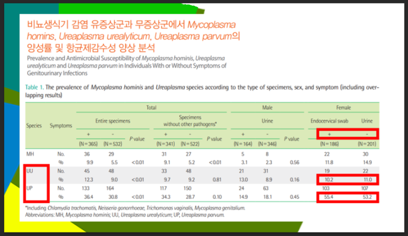 유레아플라즈마 치료, 항생제는 독이 될 수 있다는데