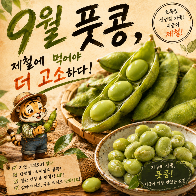 9월 제철 초록빛 영양 간식 풋콩효능과 손질법