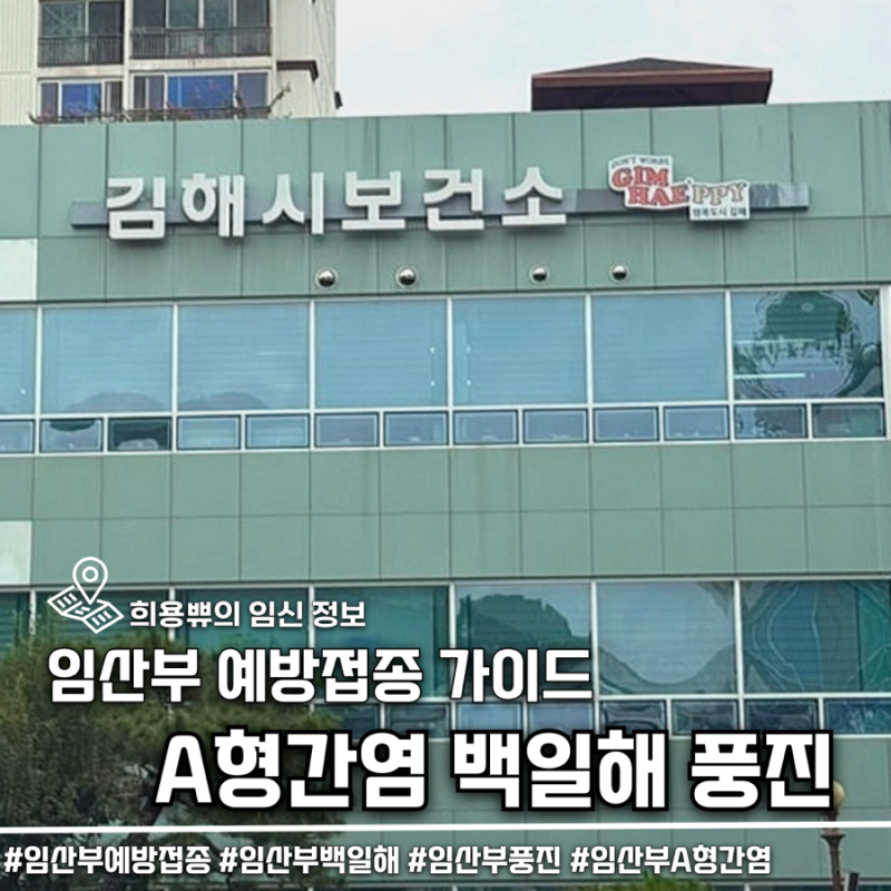 임산부 예방접종 총정리! 임산부 A형간염 접종부터 백일해 주사 시기까지 한눈에 보기