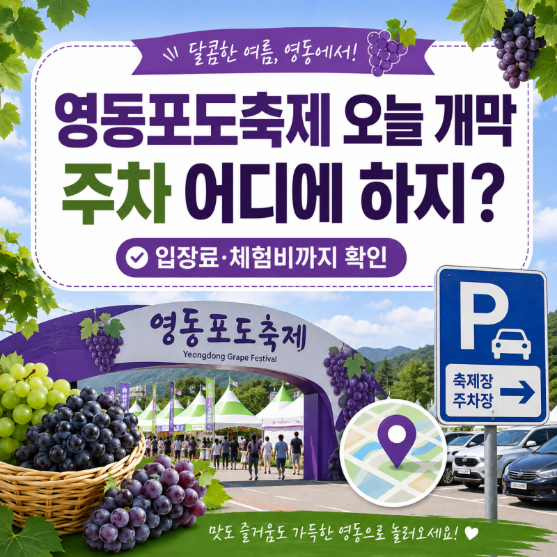 2026 영동포도축제 오늘 시작…주차는 어디? 체험비·시간 총정리