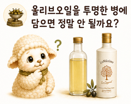 올리브오일을 투명한 병에 담으면 정말 안 될까요?