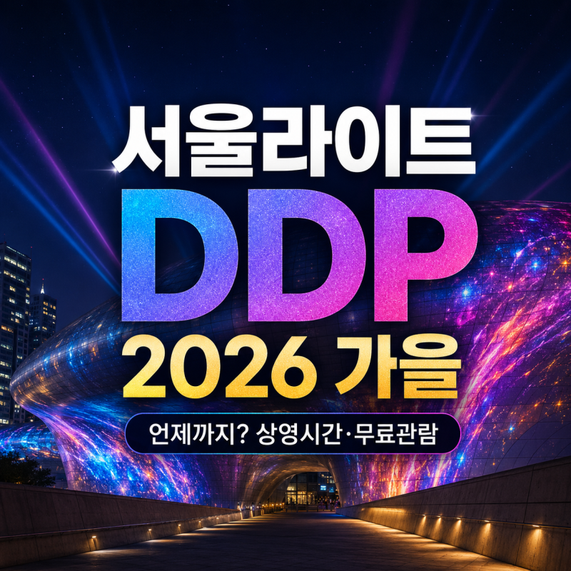 서울라이트 DDP 2026 가을 언제까지? 상영시간과 공연·무료 관람 안내