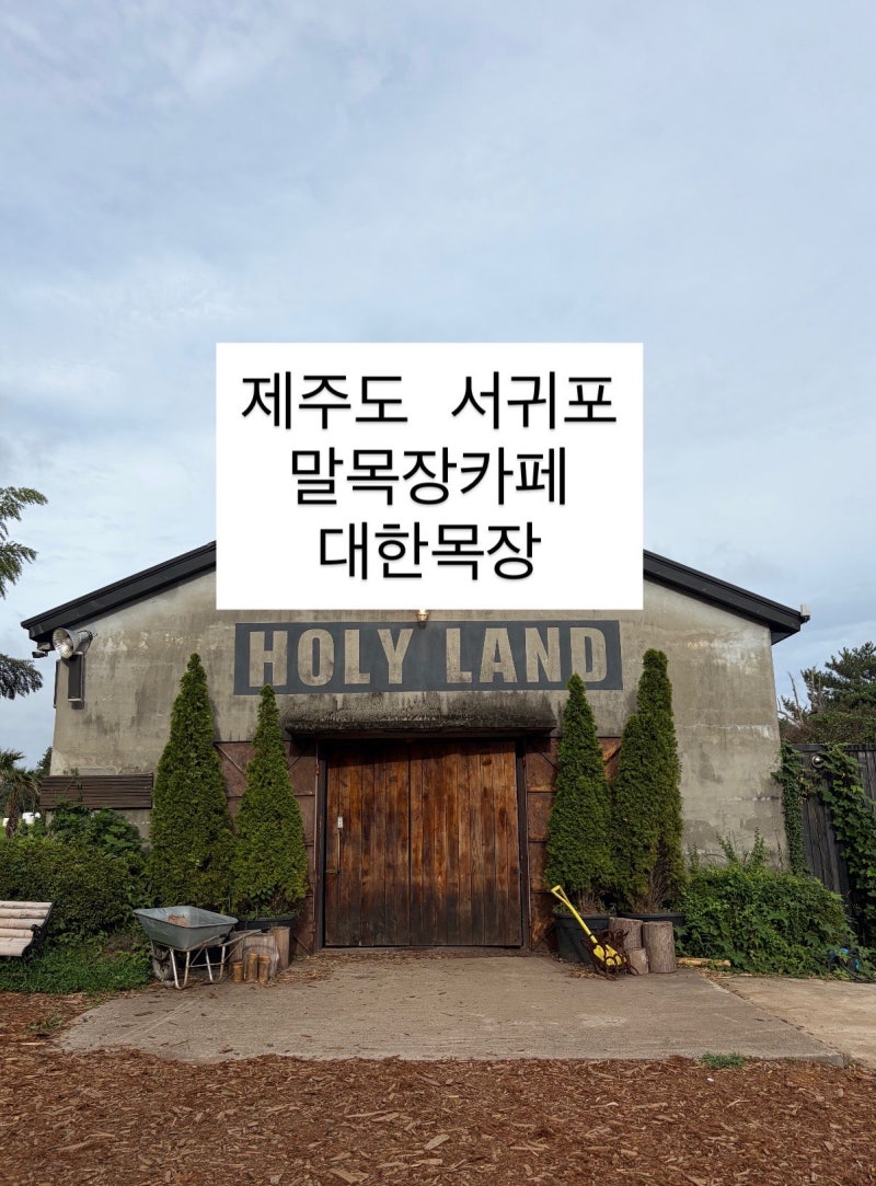 제주도 목장카페 대한목장｜말 구경하며 사진 찍기 좋은 제주도 가볼만한곳