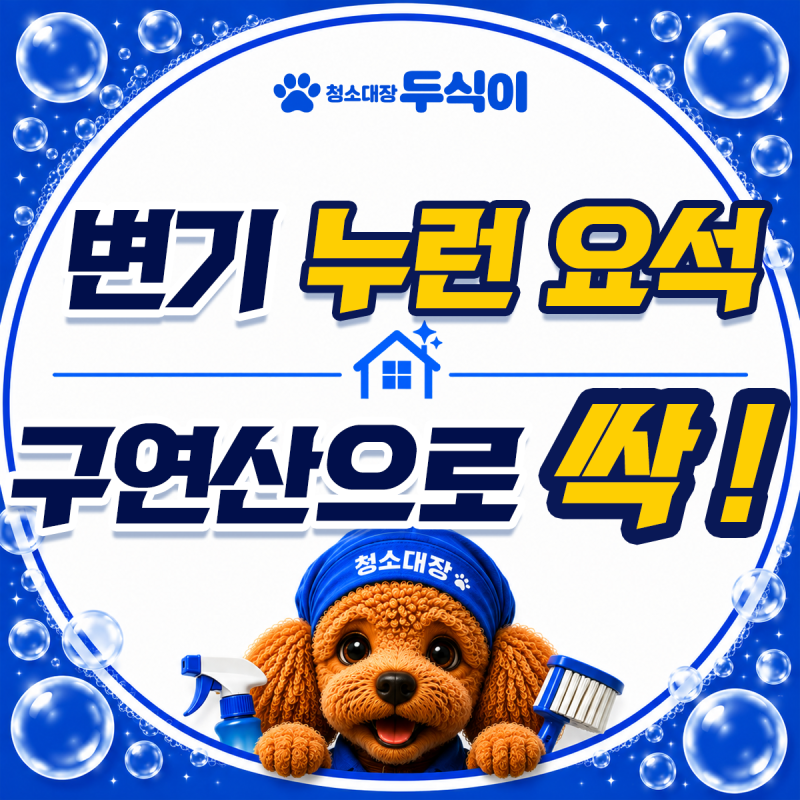 변기 테두리 누런 요석 제거 독한 냄새 없이 말끔하게 없애는 구연산 청소 꿀팁