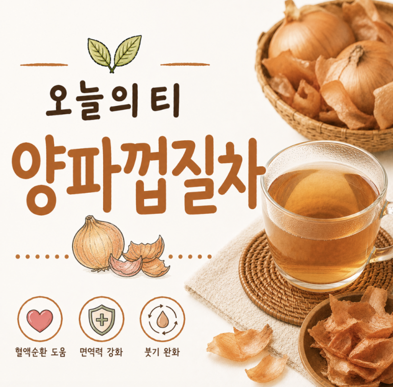 양파껍질차 효능과 부작용 | 버릴 것 없는 양파? 혈관 관리와 수분 보충 [오늘의 티]