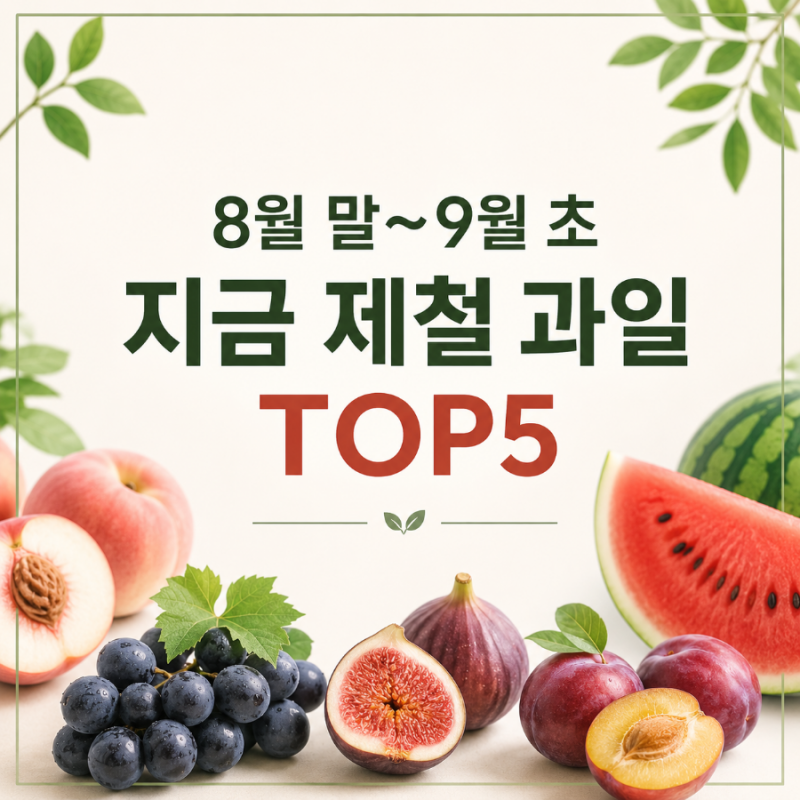 8월 말~9월 초 지금 제철 과일 TOP5 지금 가장 맛있는 과일은 무엇일까?