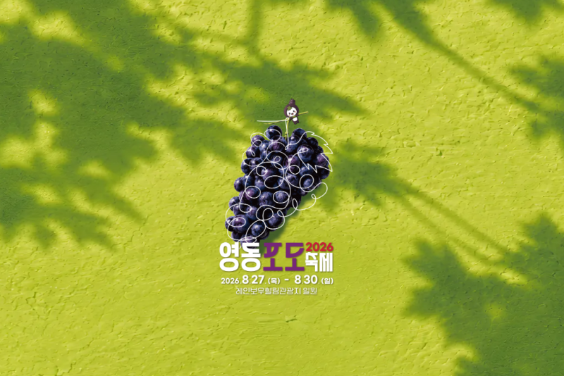 2026 영동포도축제 셔틀버스 노선·체험비 총정리｜포도따기 체험장 가는 법