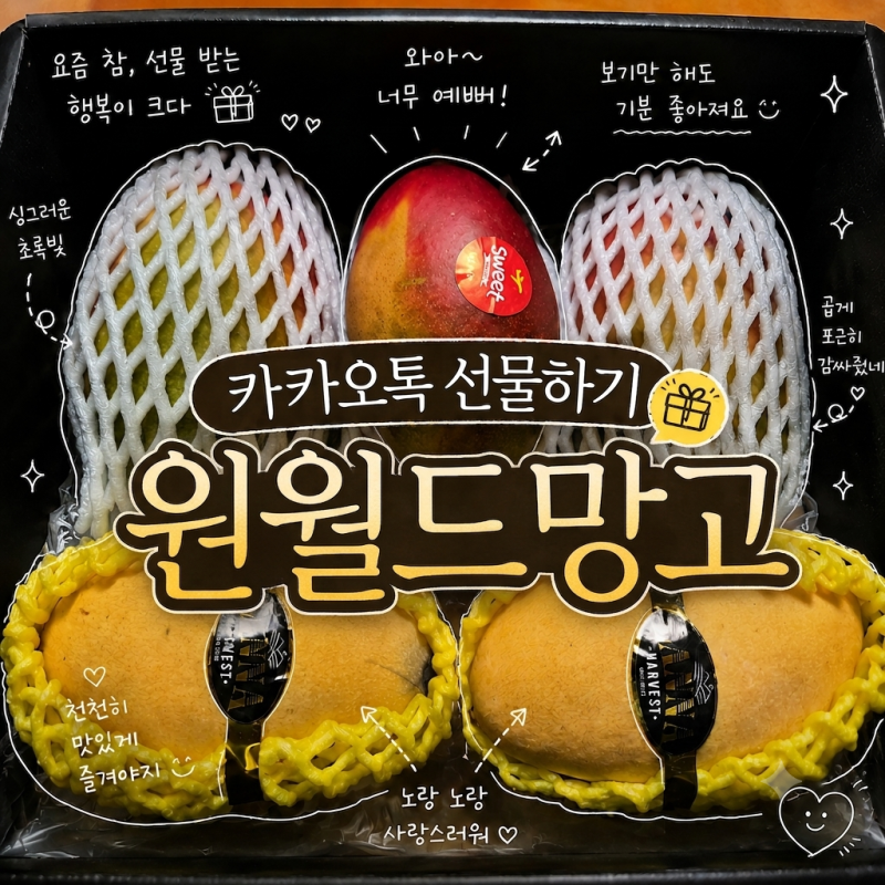 카카오톡 선물하기로 받은 과일 망고, 원월드 애플망고 골드망고 로얄과, 후숙 보관 방법
