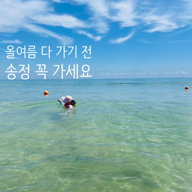 아이랑 부산 송정해수욕장 물놀이 꼭 가야하는 이유 공영주차장과 샤워장까지