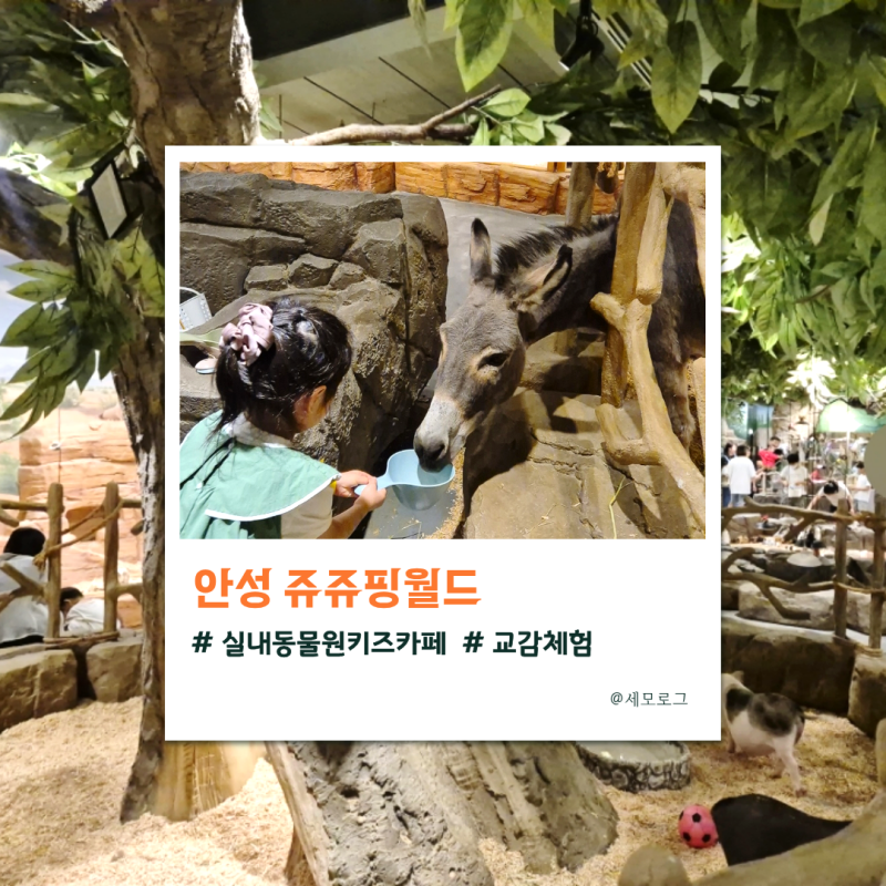 안성가볼만한 곳｜쥬쥬핑월드 할인 실내 동물원 데이트 주말 방문후기