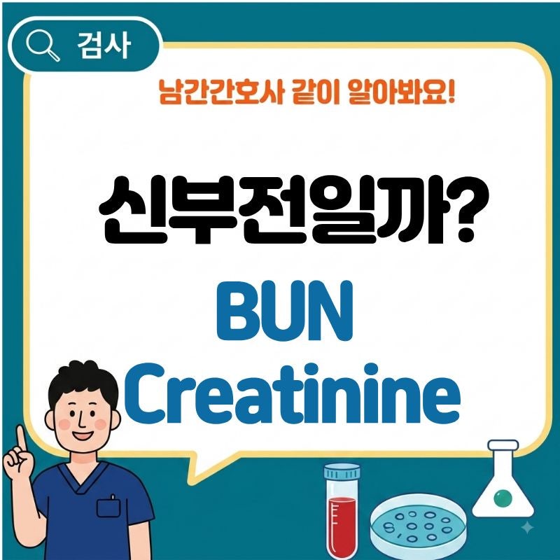 BUN 수치가 높으면 신부전일까? Creatinine과 함께 보는 이유