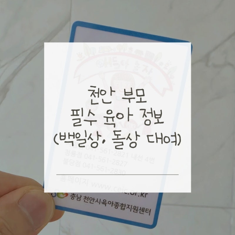 [천안 애들아 놀자] 백일상 대여 필수! 애들아 놀자 정회원 신청 방법 및 이용 꿀팁 총정리
