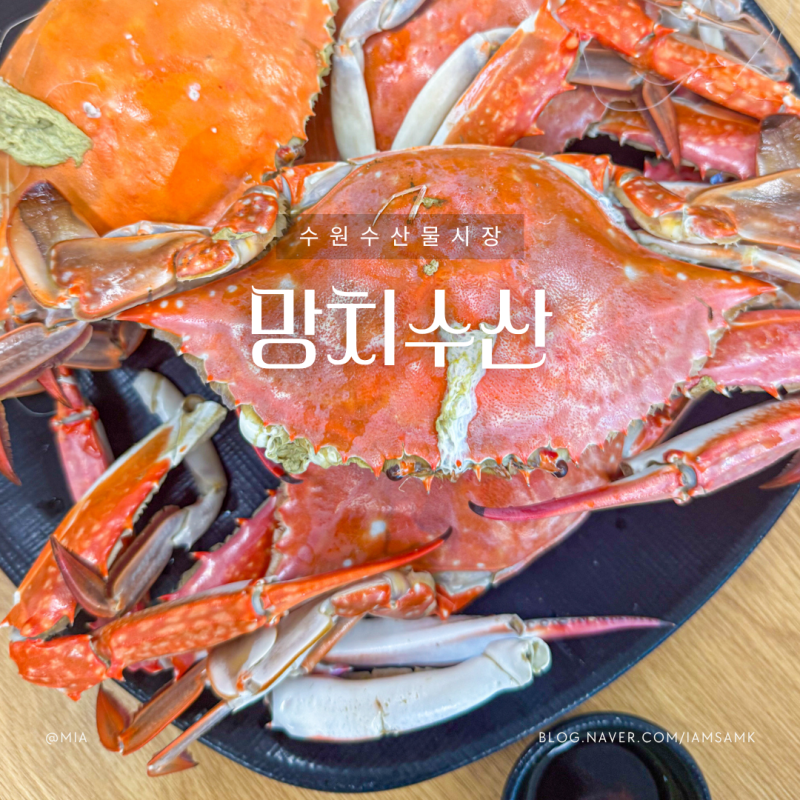 수원수산물시장 맛집 꽃게찜, 대하구이 제철 해산물 먹고 온 횟집 망치수산