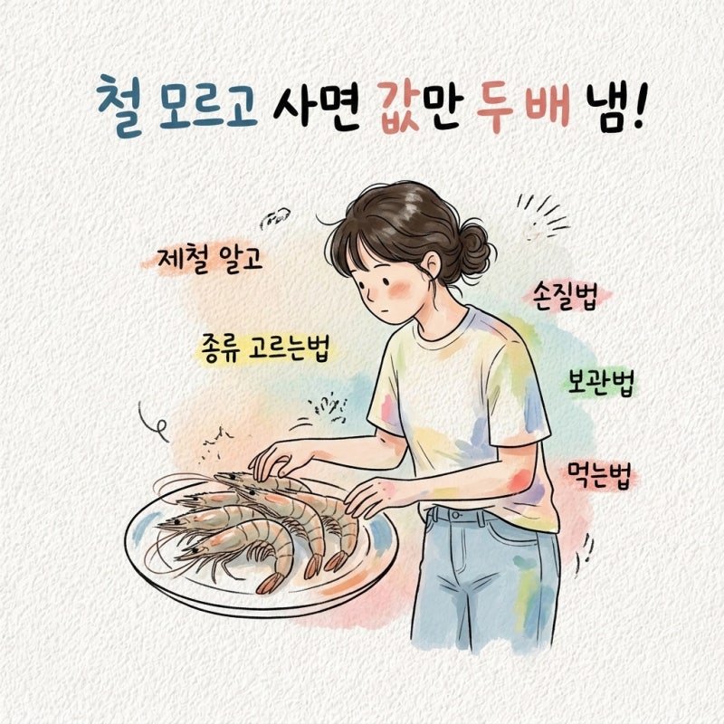 새우 제철 알고 종류 고르는법 손질법 보관법 먹는법