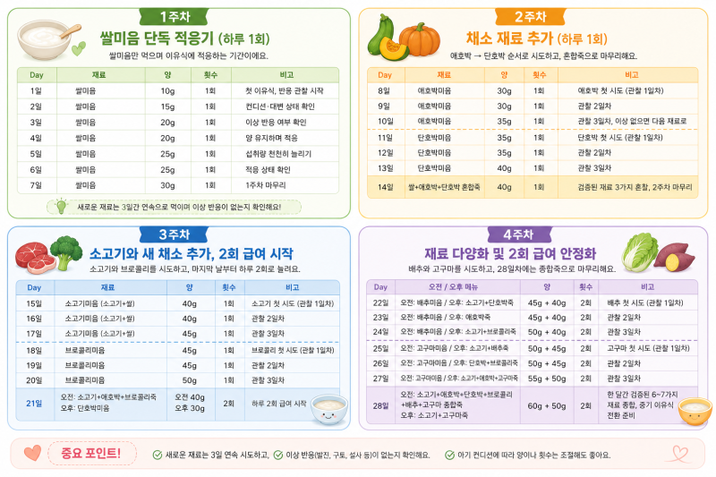 6개월 아기 초기 이유식 한달 식단표 정리 (순서·양·재료 총정리)