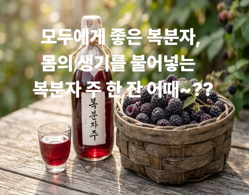 복분자 효능과 부작용 주의점! 비율 맞춘 복분자주 담그는 법 & 냉동복분자 활용 꿀팁