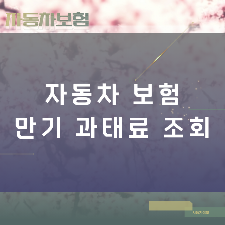 자동차 보험 만기 과태료 조회 방법과 경과일수별 부과 금액 기준