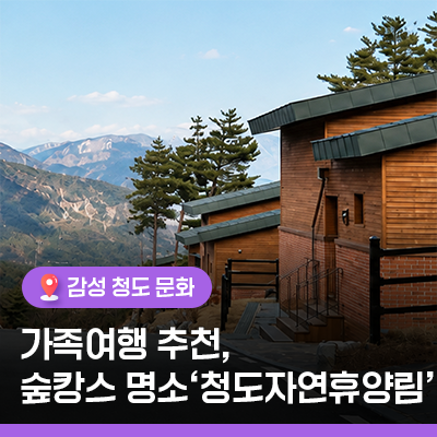 국내 여행지 , 가족여행 추천 숲캉스 명소 청도자연휴양림