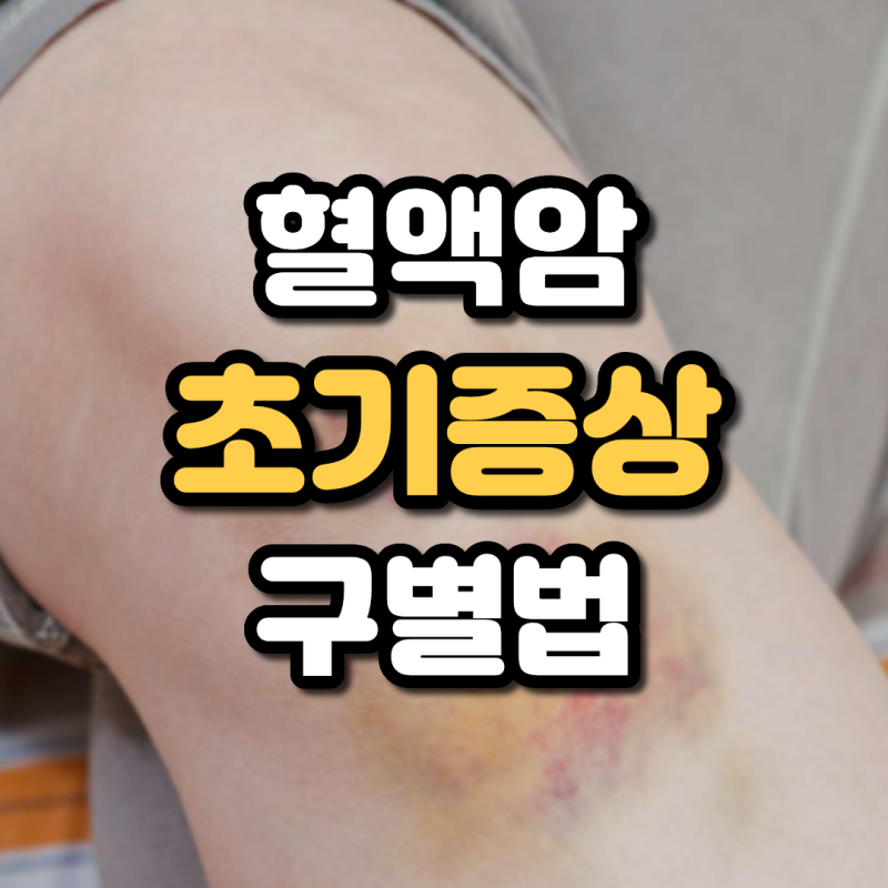 혈액암 초기증상 이유없는 멍 몸에 붉은 반점 가려움 두드러기 구별법