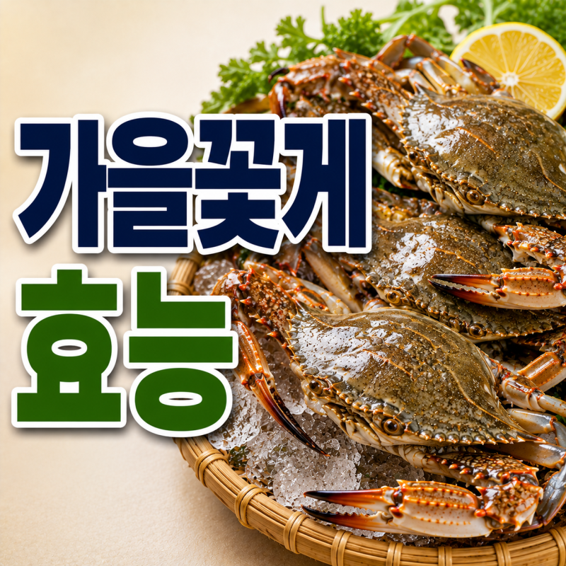 가을 꽃게 효능 및 부작용, 제철 칼로리 영양성분까지