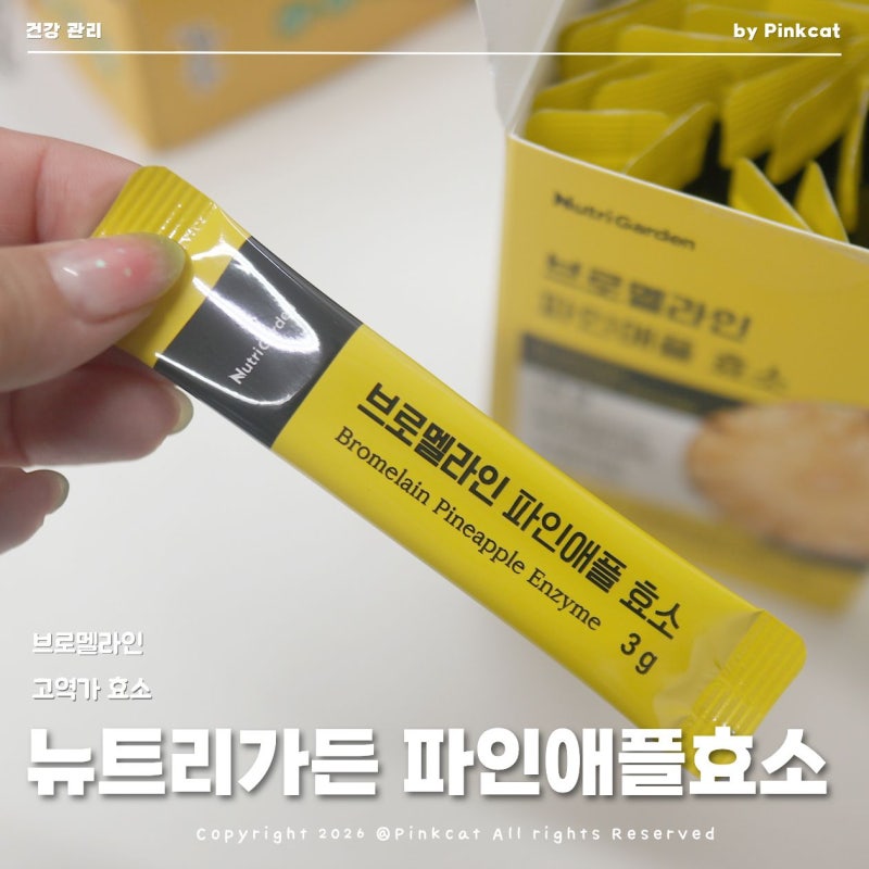 고역가 효소 뉴트리가든 브로멜라인 파인애플효소