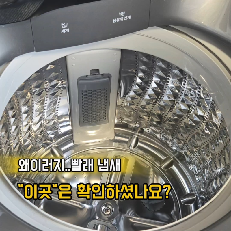 세탁조 청소 얼마나 자주 해야 할까 통세척 주기와 관리 방법 총정리