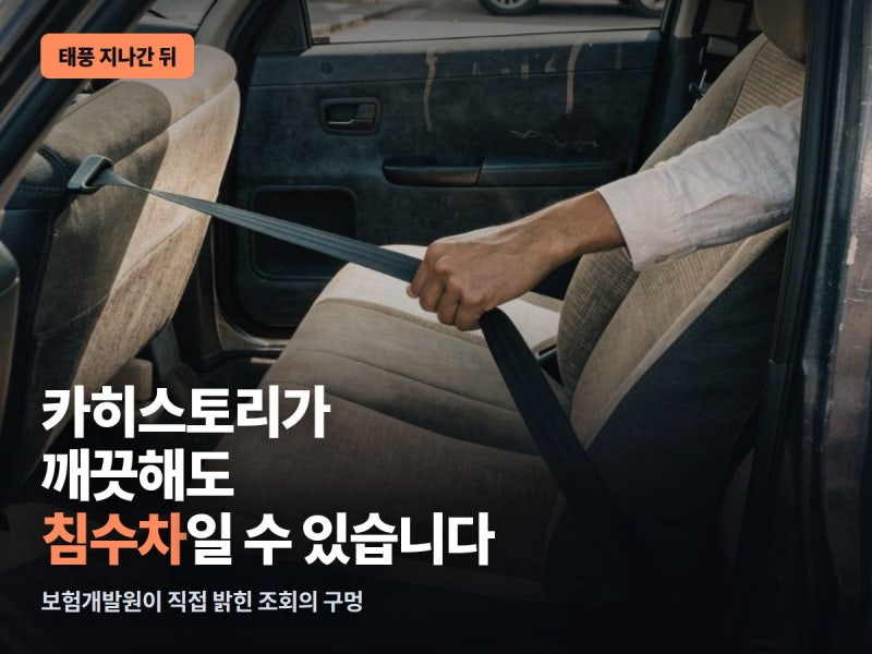 "카히스토리 깨끗하던데요" — 보험개발원이 직접 밝힌 침수차 조회의 구멍