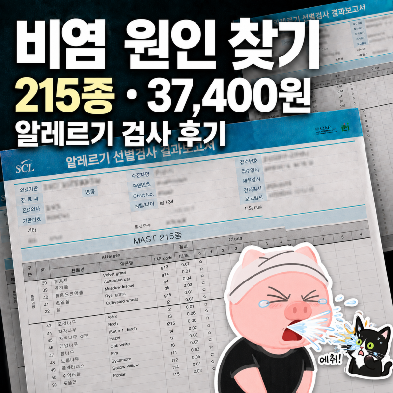 대전 알레르기 검사 후기｜MAST 215종 비용, 20년 비염 확인해 보니