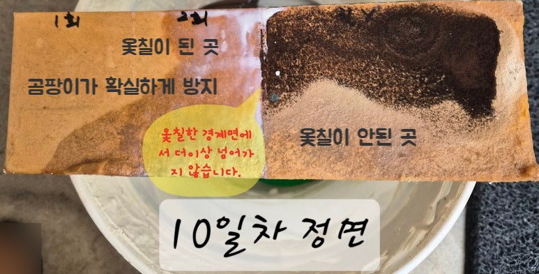 옻칠 바니쉬 코팅제 아토펙트 곰팡이방지 가능할까요?