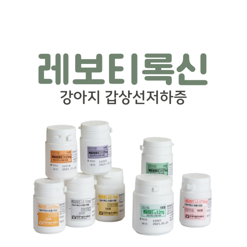 레보티록신(씬지로이드), 개의 갑상선기능저하증약 복용량과 복용법