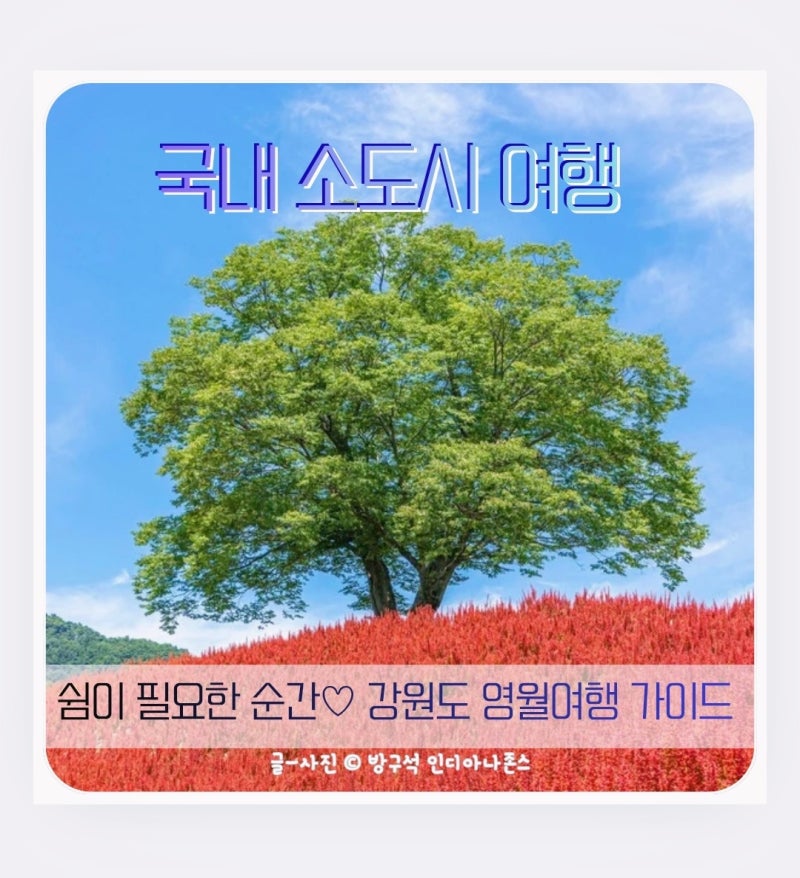국내 소도시 여행지 강원도 영월 가볼만한곳! 1박2일 추천 가이드