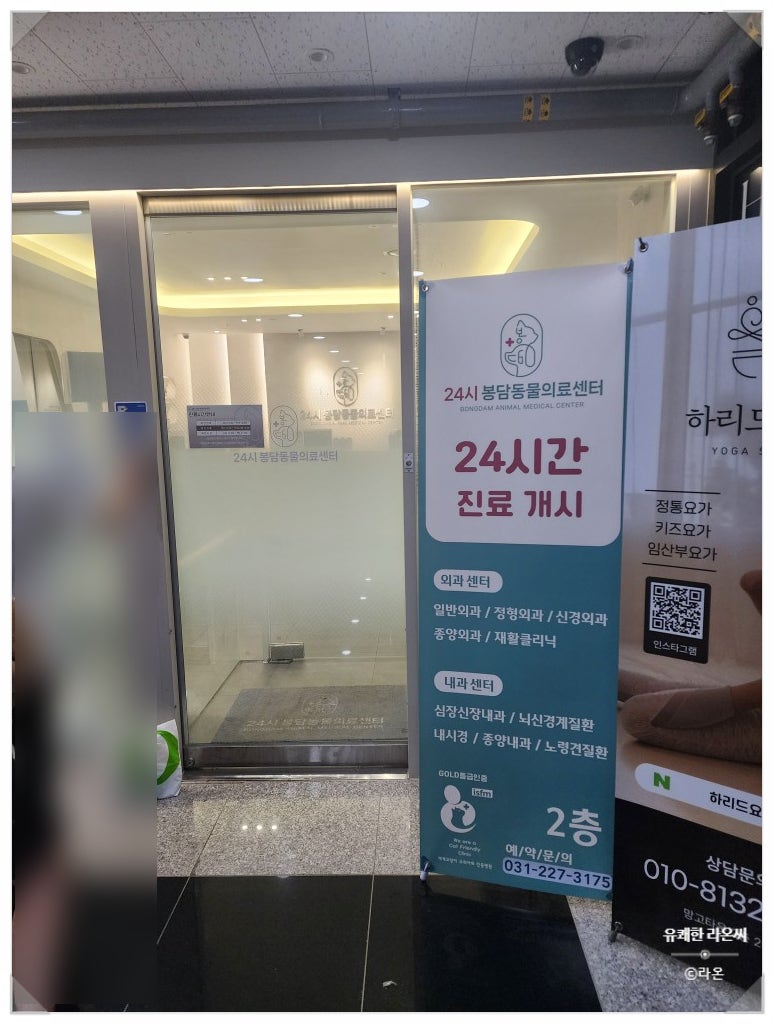 화성 봉담 24시 동물병원 추천, 강아지 혈뇨 빈혈 혈소판 감소증 및 진드기 PCR 검사 후기