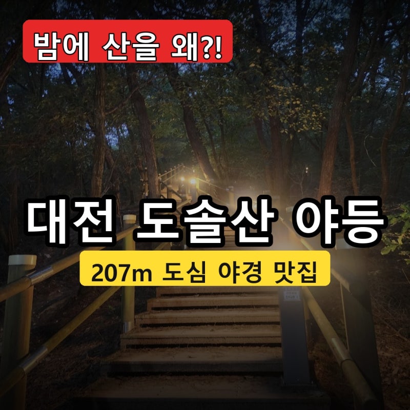 "밤에 산을 왜 올라?" 대전 도솔산 야등, 207m가 주는 특별한 밤