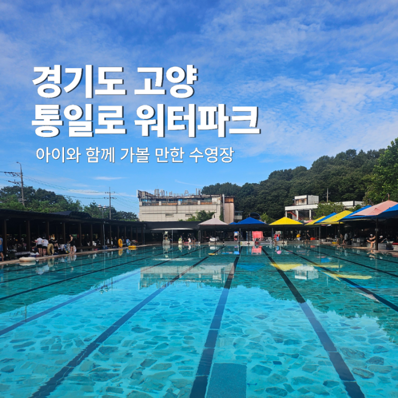 통일로 워터파크 취사 가능 친환경 수영장｜아이들과 여름 물놀이