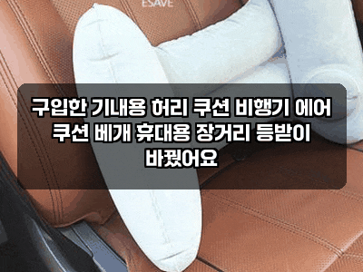 구입한 기내용 허리 쿠션 비행기 에어 쿠션 베개 휴대용 장거리 등받이 바꿨어요
