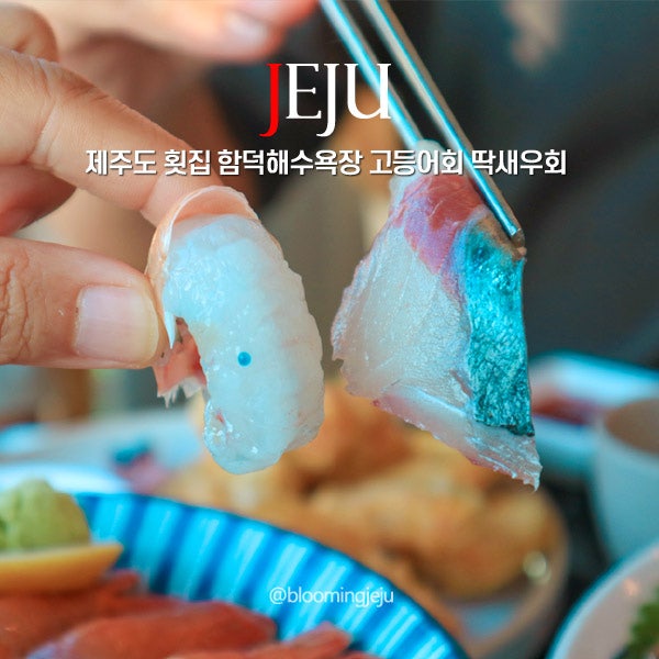 제주도 횟집 함덕해수욕장 오션뷰 식당 제주 고등어회 딱새우회