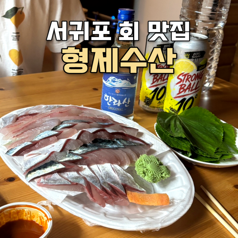 서귀포 올레시장 회포장 형제수산 고등어회 싱싱한 인생횟집 내돈내산
