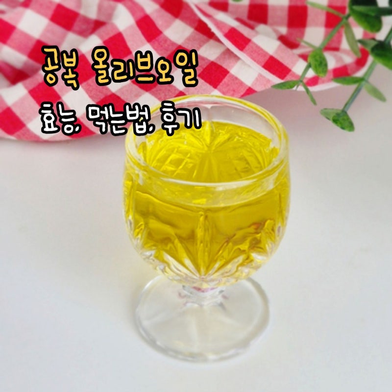 공복 올리브오일 효능 및 먹는방법 섭취 후기