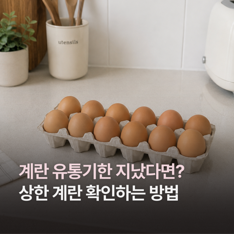 계란 유통기한 지났어도 먹어도 될까? 상한 계란 구별하는 방법