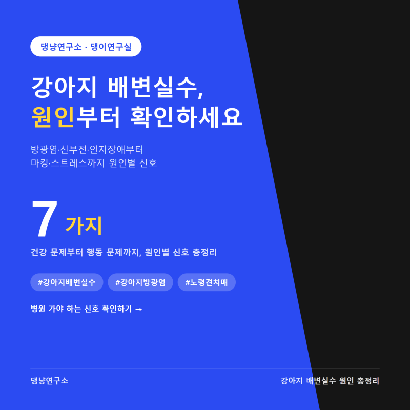 강아지 배변실수 원인 총정리, 건강 신호와 행동 원인 구분법