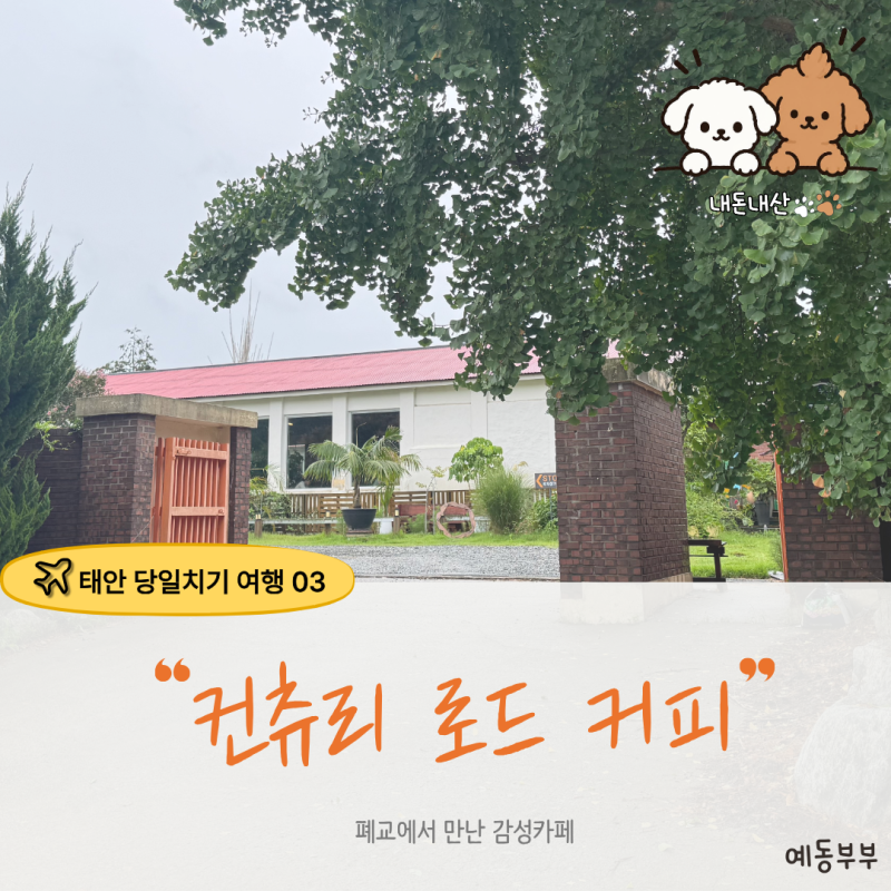 태안 당일치기 여행 코스｜폐교 카페 컨츄리 로드 커피, 신두리 감성카페 추천
