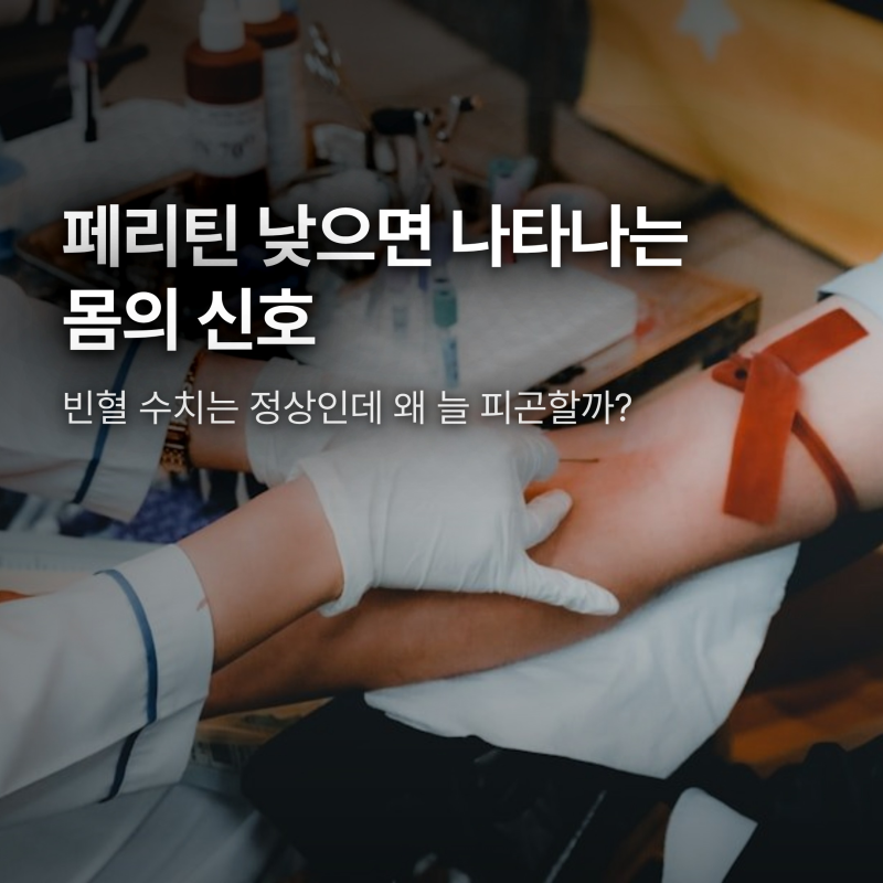 페리틴 수치 낮으면 생기는 증상과 정상 범위, 빈혈 없어도 피곤한 이유