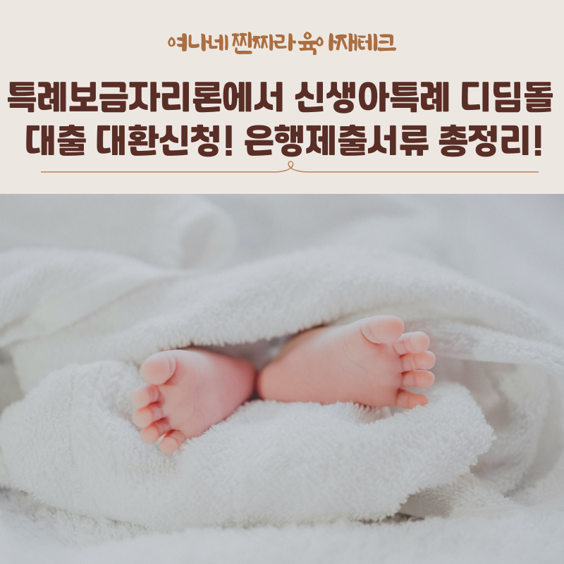 특례보금자리론에서 신생아특례 디딤돌 대출 대환신청! 은행제출서류 총정리!