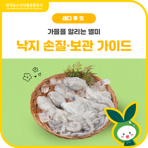 낙지 제대로 알고 먹자손질법부터 보관법까지