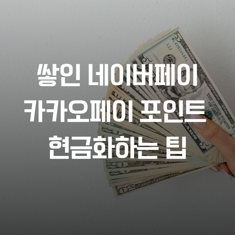 쌓인 네이버페이·카카오페이 포인트 세탁 없이 현금화하는 팁