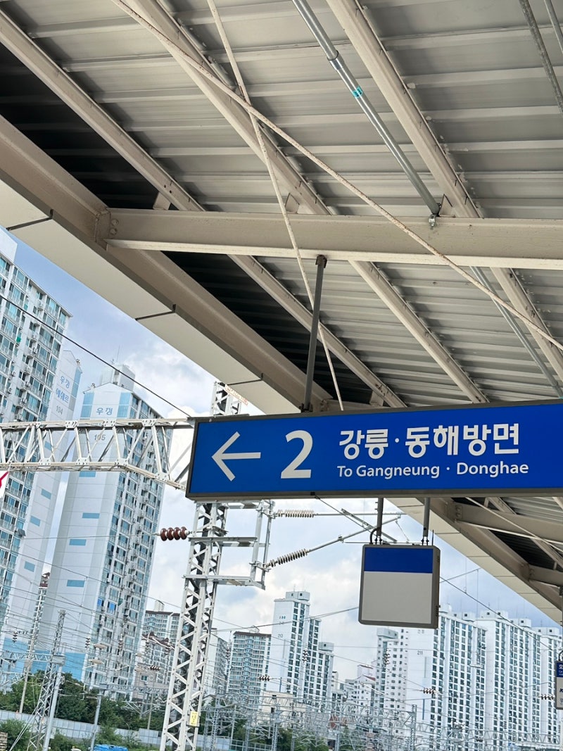 추석 기차표 예매 일정 KTX SRT 예매일 시간 노선별 정리