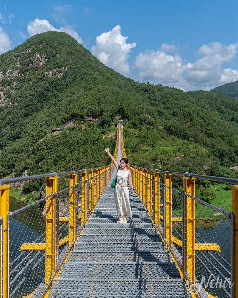 충남 금산 가볼만한곳 월영산 출렁다리 금산 적벽강 인삼시장