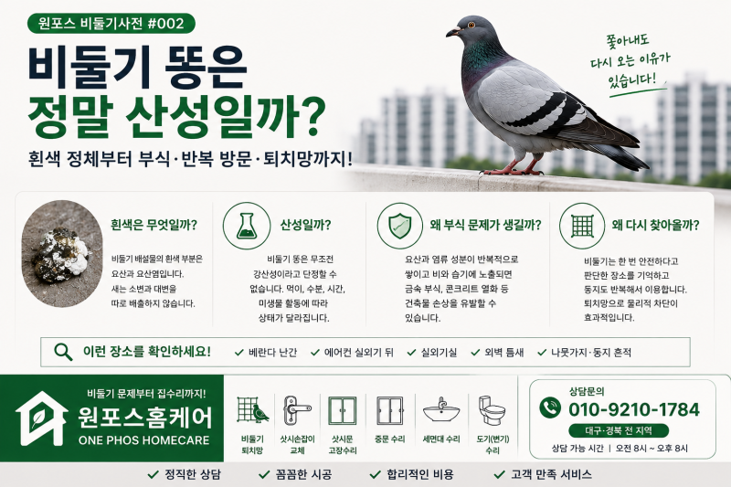 비둘기 똥은 정말 산성일까? 아파트 베란다·실외기 비둘기 퇴치 방법